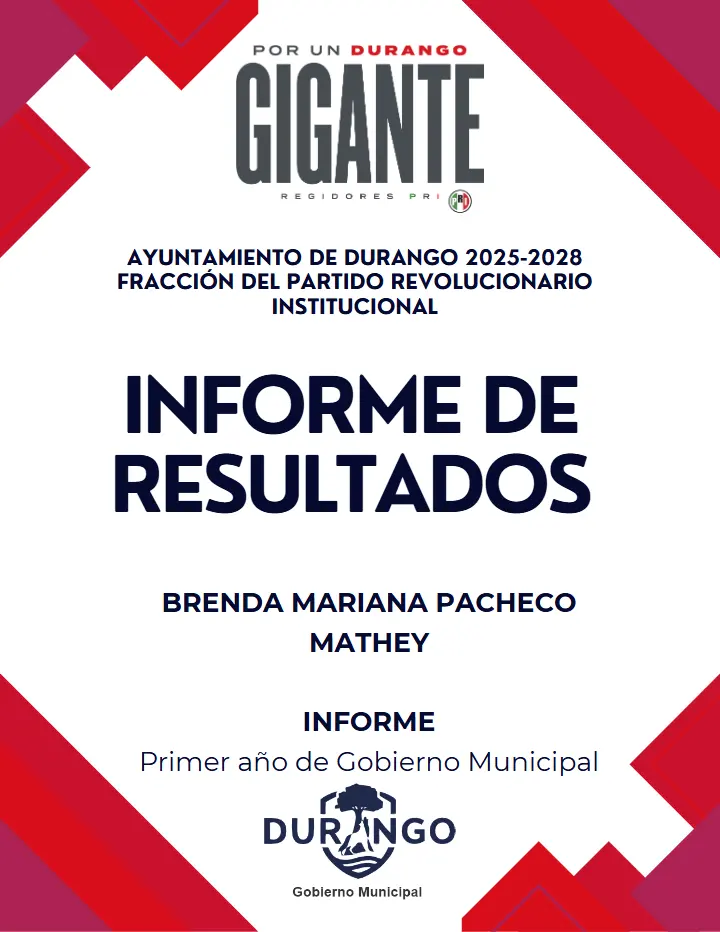 Portada de Informe Brenda Pacheco